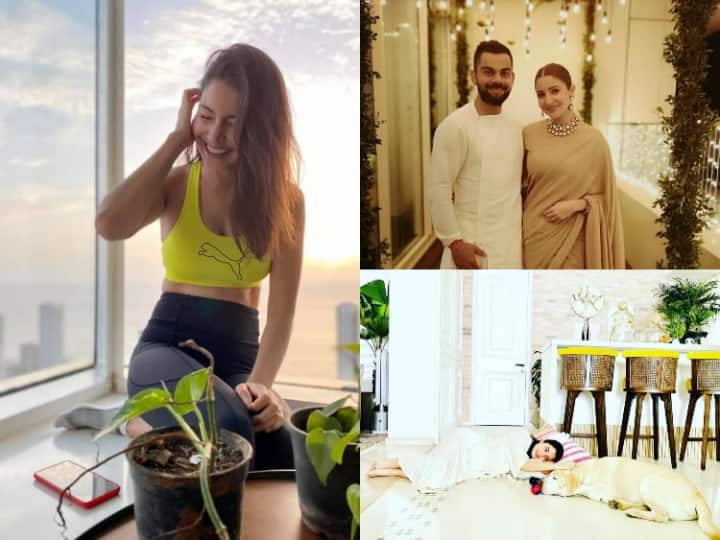 Everything from furniture to interior is perfect, have you seen this house of Virat and Anushka?
