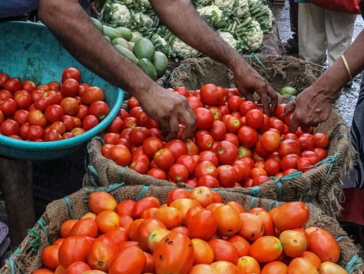 Now the general public can also reduce the rates of tomatoes, the government asked for ideas, know the whole matter