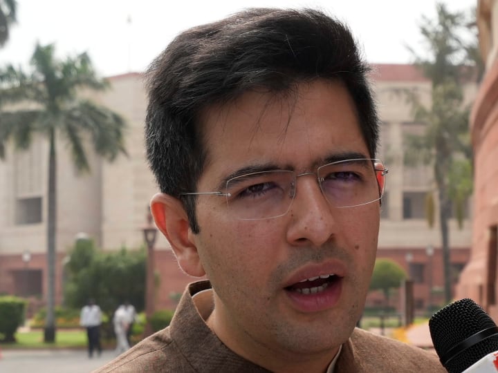 'Like Rahul Gandhi...', AAP lashed out at BJP by referring to Raghav Chadha, who said what?