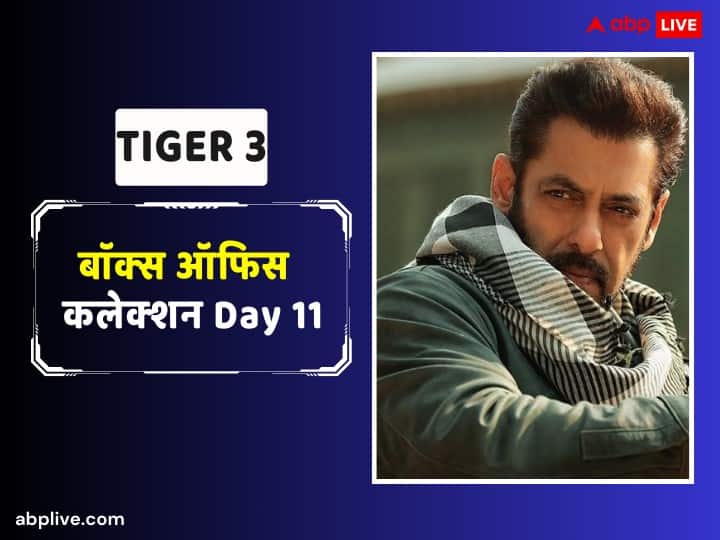 Despite the earnings decreasing every day, Tiger 3 is inches away from crossing Rs 250 crore, know the collection