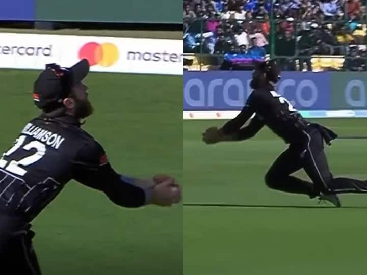 Kane Williamson took the best catch of this World Cup with a broken thumb!  ran upside down and took a long dive