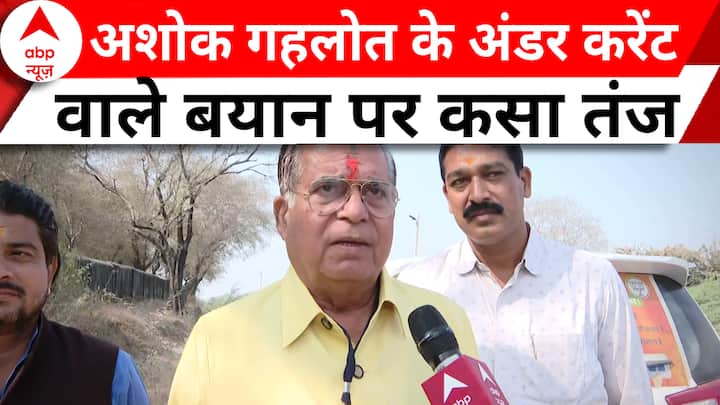 Rajasthan Voting: 'Wait for a few days, everyone will be in front...': BJP candidate on Gehlot's undercurrent statement
