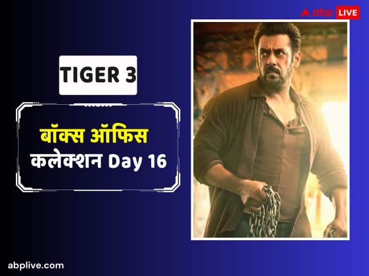 'Tiger 3' is struggling at the box office, it is difficult to cross the Rs 300 crore mark