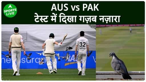 An amazing sight was seen in the AUS vs PAK test, first Labuschagne and then Hasan Ali chased away the pigeons from the field.