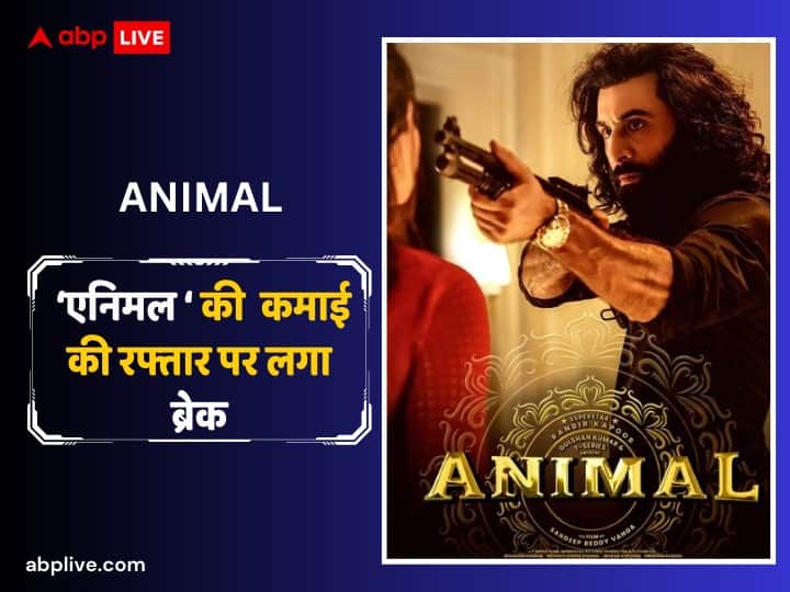 'Dinky' and 'Saalar' put a break on the earnings of 'Animal', the earnings of the fourth Friday film were very low.