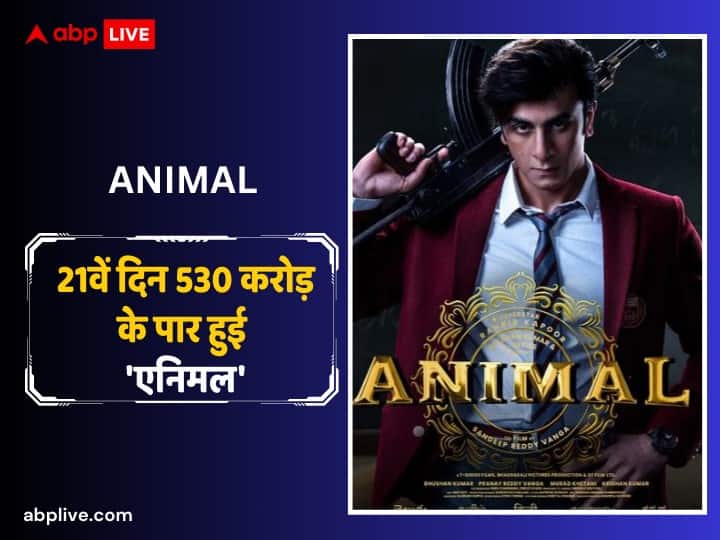 Even in front of 'Dinky', 'Animal' showed its full strength, Ranbir Kapoor's film crossed Rs 530 crore on the 21st day.