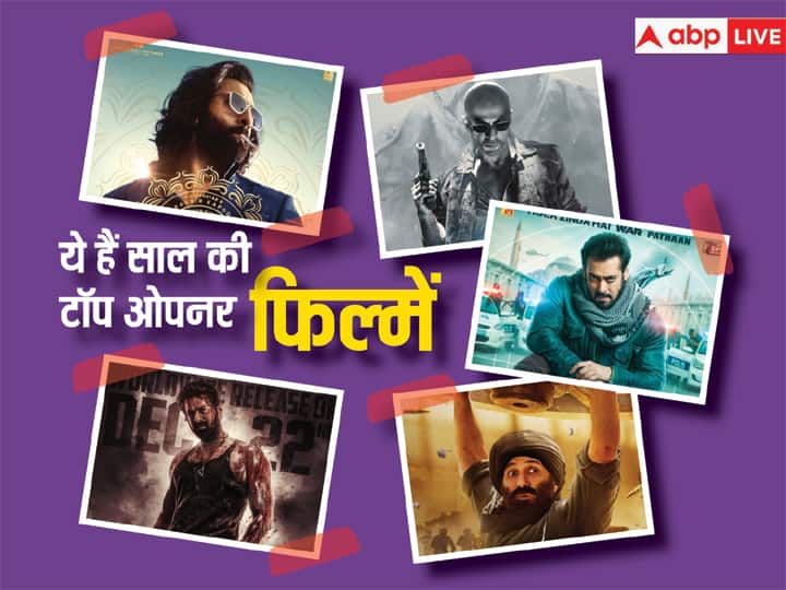 From Salaar to Jawan and Animal, these films were included in the list of top 10 openers of the year.