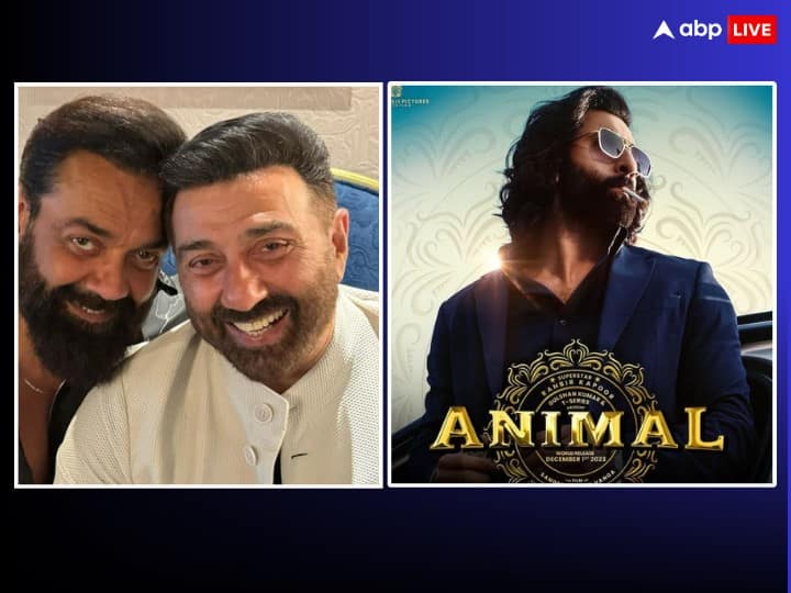 'I didn't like some scenes, but the film...', regarding Bobby Deol and Ranbir Kapoor's film 'Animal'