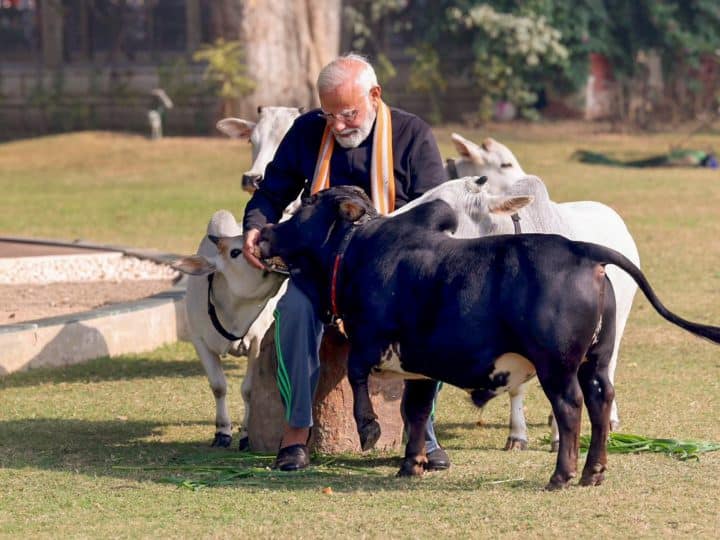 You saw PM Modi's Gausevak avatar, seen in a blazer and South Indian lungi on Pongal.