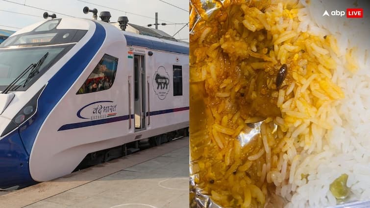 Cockroach found in passenger's plate in Vande Bharat - commotion, IRCTC apologized, action against service provider