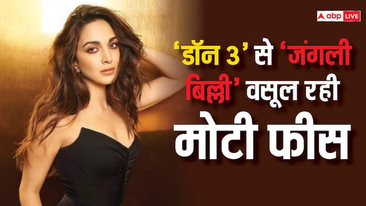 Kiara Advani is charging big money from 'Don 3'!  'Wild Cat' charged so much fees