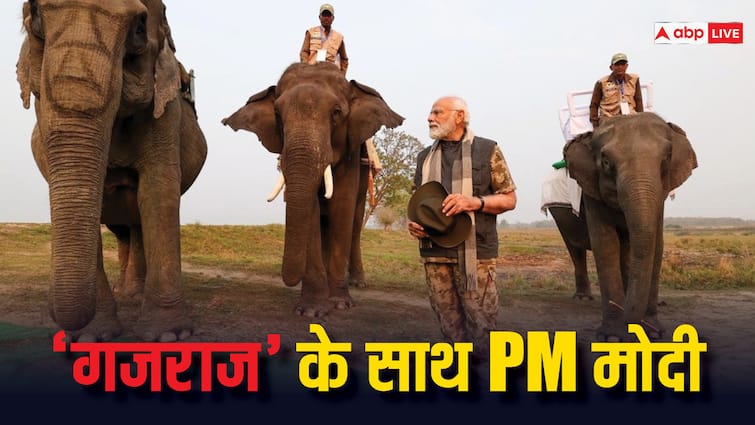 Narendra Modi's elephant becomes companion in Kaziranga!  See in VIDEO how PM took a ride during safari